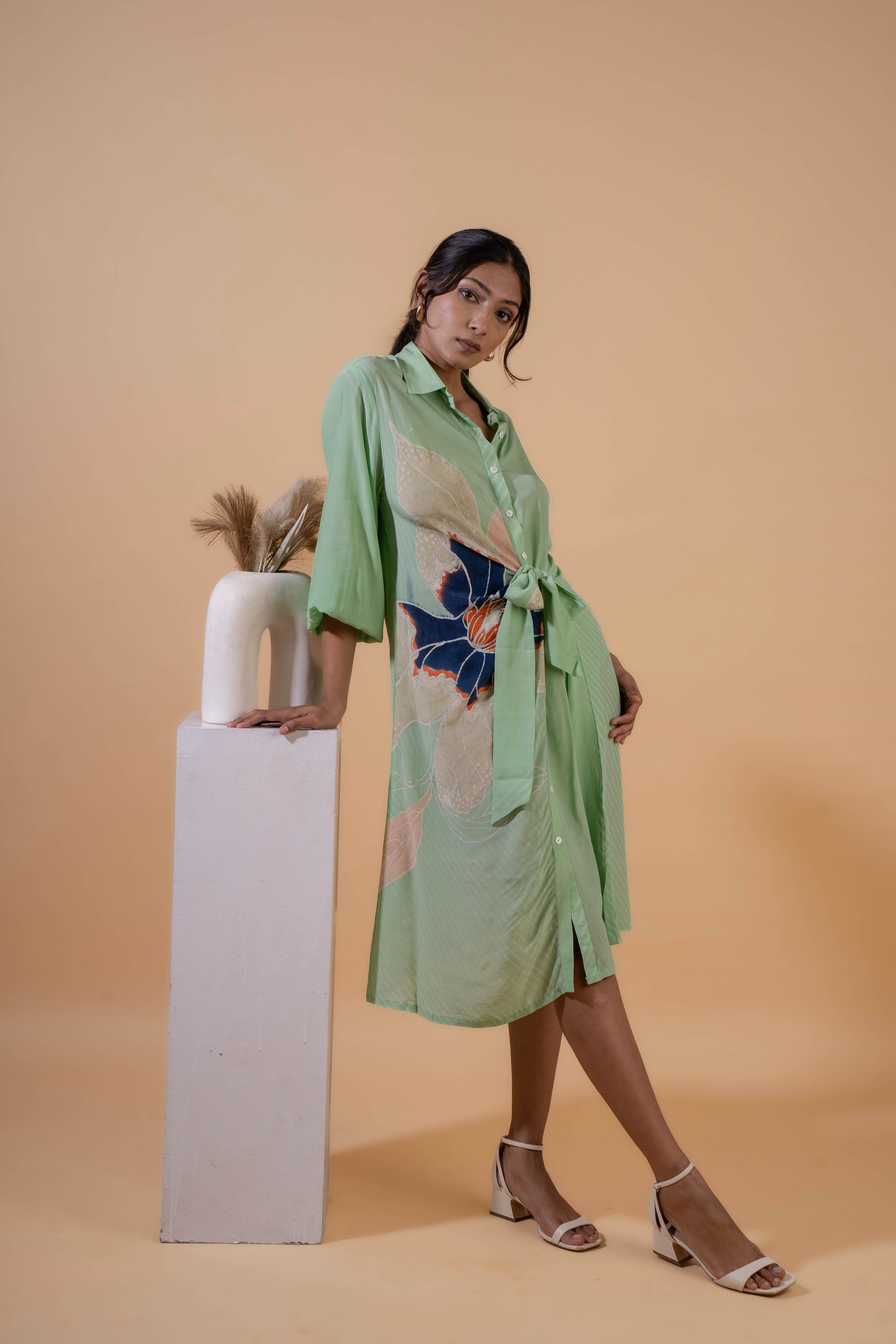 Meadow Breeze Shirt Dress